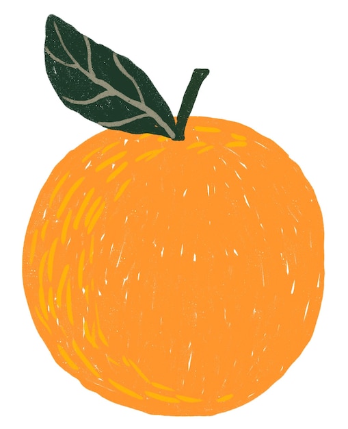Rótulo de frutas laranja de PNG