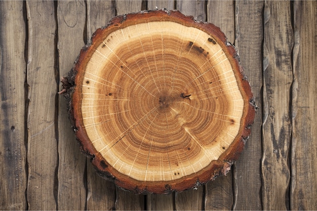 Roung corte de árbol sobre fondo de madera