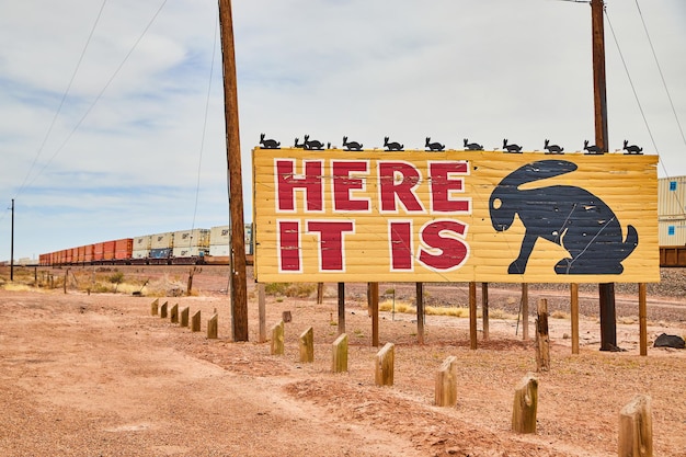 Route 66 ikonisch, hier ist es eine Jack-Kaninchen-Werbetafel