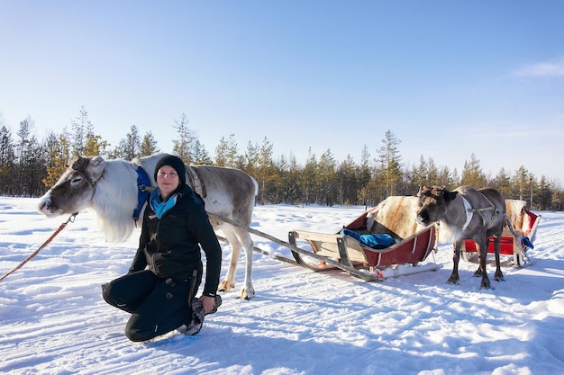 Rovaniemi, Finnland - 5. März 2017: Mädchen bei Rentierschlitten-Wohnwagensafari im Winterwald in Rovaniemi, Lappland, Nordfinnland.