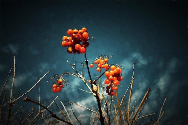 Rowan auf dem Hintergrund eines blauen Himmels mit Wolken Illustration