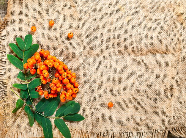 Foto rowan auf vintage-leinwand hintergrund herbstkonzept