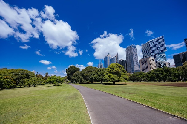 Royal Botanic Garden an einem warmen Herbstmorgen in Sydney, New South Wales, Australien