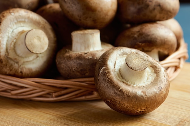 Royal Champignon Pilze Makro