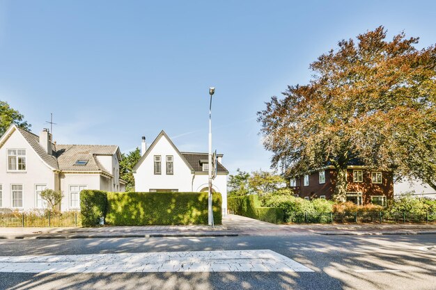 Rua aconchegante com lindas casas e vegetação