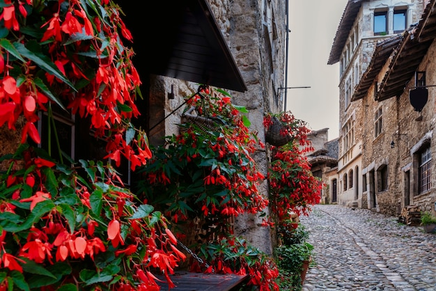 Rua com hera e flores vermelhas nas paredes da vila medieval de Perouges, em Lyon, França