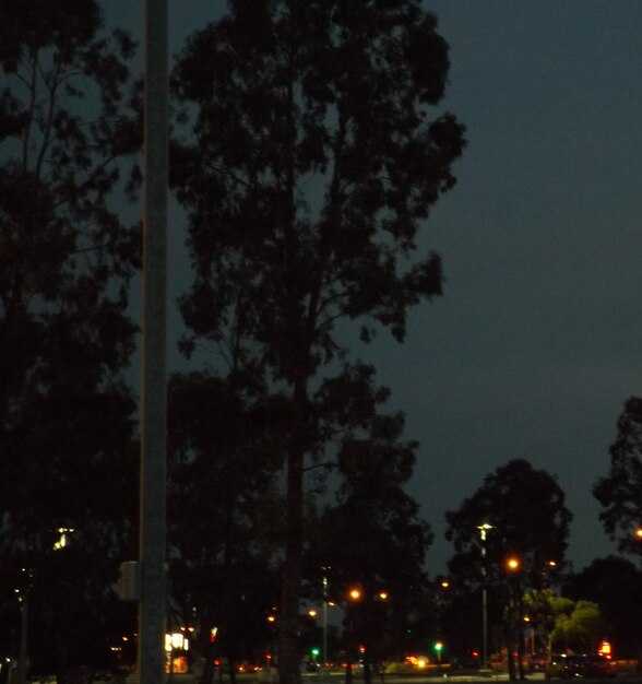 Foto rua da cidade à noite