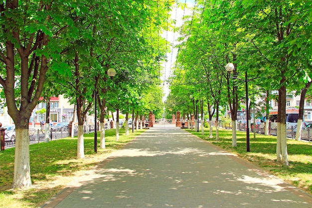 Rua da cidade bielorrussa de Gomel com bancos, árvores e guirlandas penduradas