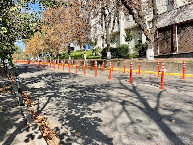 rua de outono na cidade