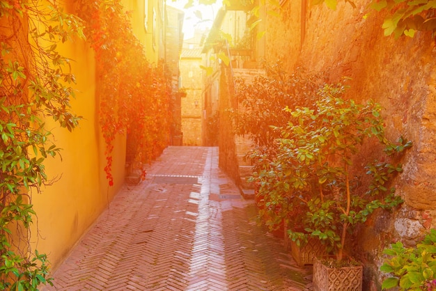 Rua de Pienza