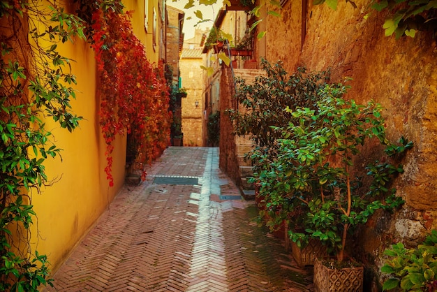 Rua de Pienza