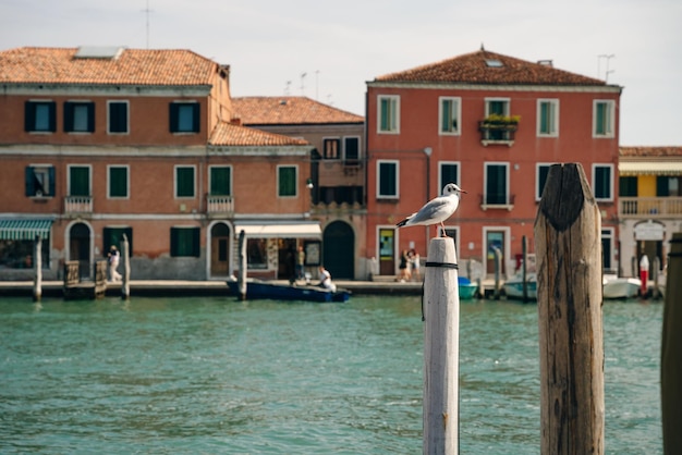 Rua do canal na ilha de Murano, Veneza, Itália, novembro de 2021