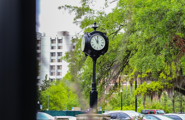 Foto rua em meio a árvores e plantas na cidade