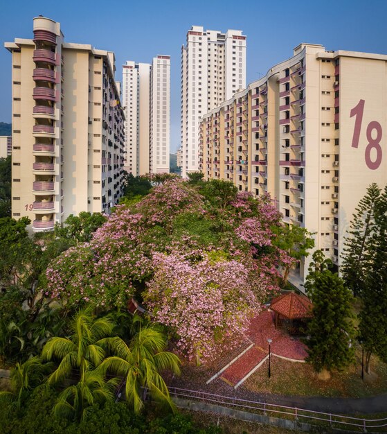 Rua em meio a edifícios contra o céu limpo