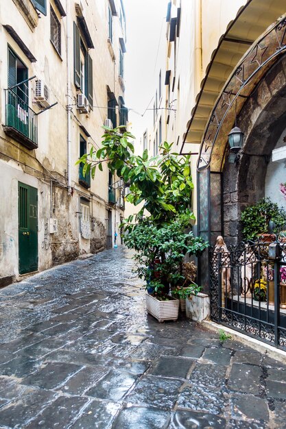 Foto rua em meio a plantas na cidade