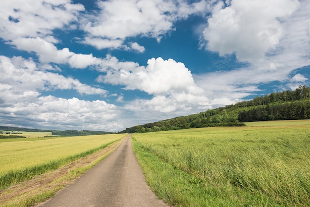 Rua em meio a um campo de grama contra um céu nublado