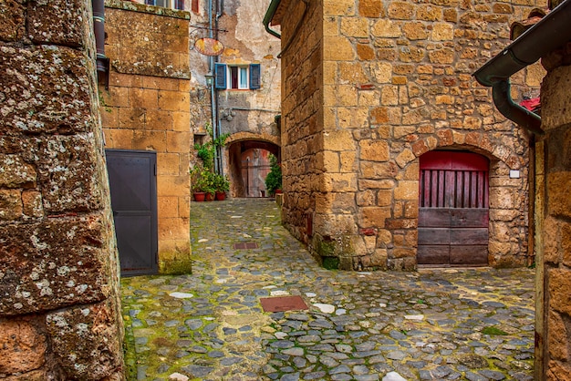 Rua estreita da antiga cidade medieval de tufo de Sorano com plantas verdes e paralelepípedos, plano de viagem da Itália