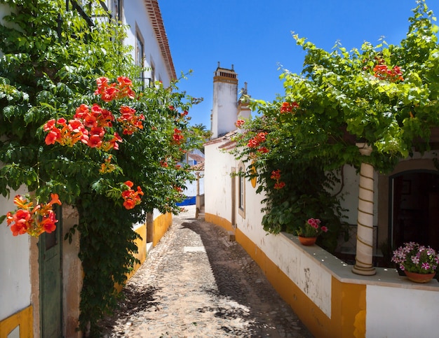 Rua estreita na cidade portuguesa, óbidos cheia de flores