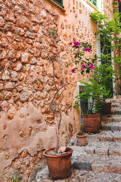 Foto rua medieval na cidade velha da pitoresca aldeia de estilo espanhol fornalutx mallorca