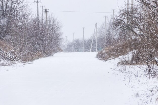 Rua rural com neve durante queda de neve