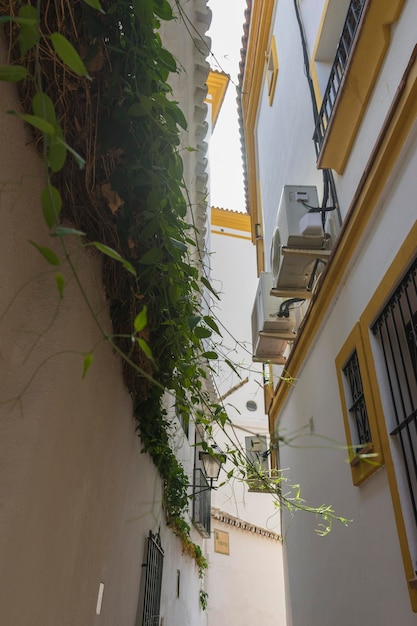 ruas de Marbella na Espanha com flores e plantas na fachada