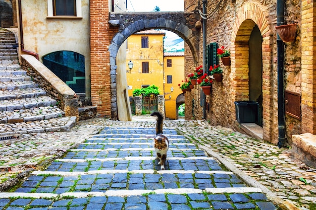 Ruas florais encantadoras de antigas aldeias italianas. casperia na província de rieti, valle sabina