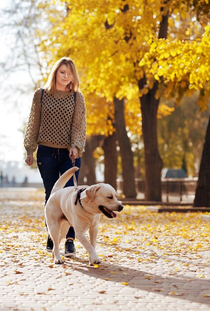 La rubia se encuentra en hojas amarillas con su labrador en el parque en otoño