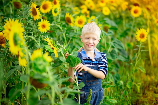 Rubio niño feliz sentado en un campo con girasoles en verano