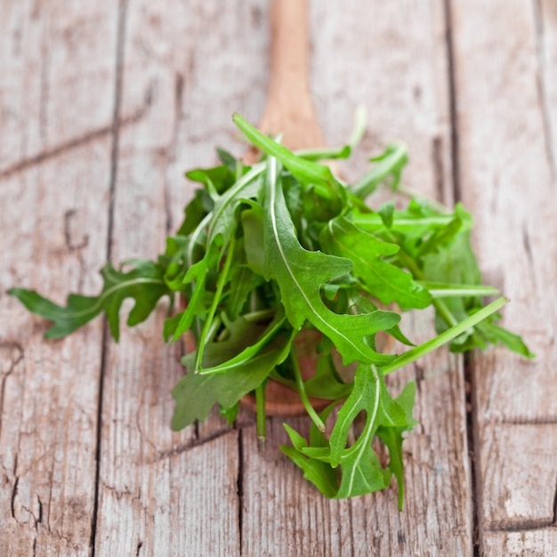 Rucola fresca en una cuchara