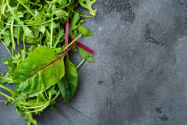 Rucola-Raab und Mangold, Mangold-Set, auf grauem Steinhintergrund, Draufsicht flach, mit Kopierraum für Text