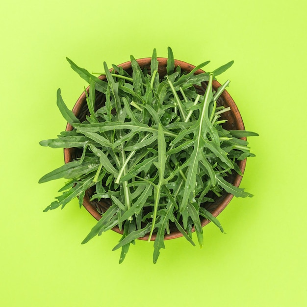 Rúcula em uma xícara de barro em um fundo verde postura plana