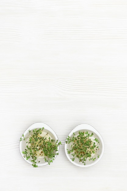 Rúcula que crece en un tazón redondo pequeño, ensalada moderna y saludable. Micro verdes para comer alimentos saludables y vegetarianos en la mesa de madera blanca. Vista superior.