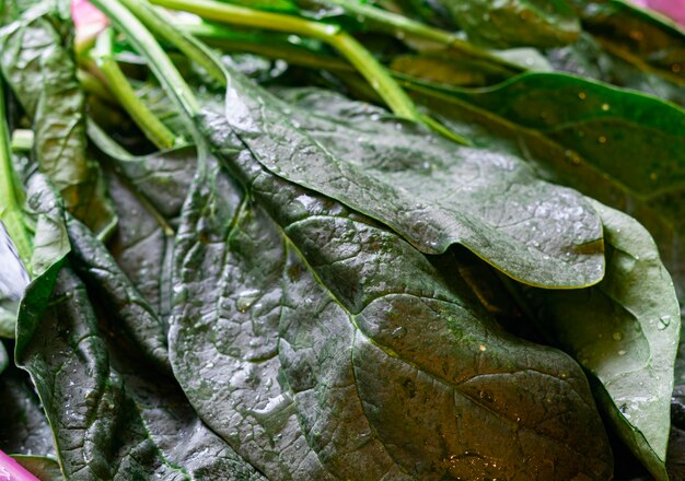 Rúcula verde com comida vegana