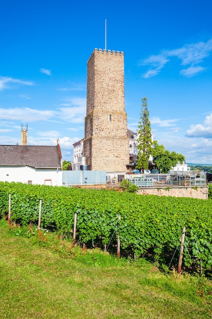 Rudesheim am Rhein Viñedos Alemania