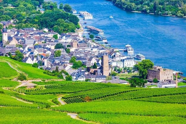 Rudesheim am Rhein Vineyards Alemanha