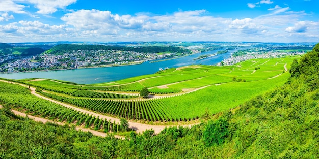 Rudesheim am Rhein Vineyards Alemanha