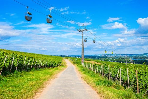 Rudesheim am Rhein Vineyards Alemanha