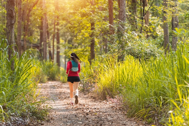 Rückansicht der erwachsenen asiatischen Trailrunnerin mit Laufweste übt Trailrunning im Wald