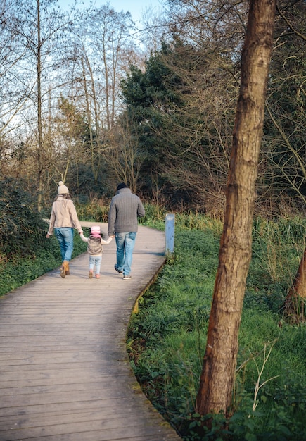 Rückansicht der Familie, die Händchen hält, während sie über einen Holzweg in den Wald geht