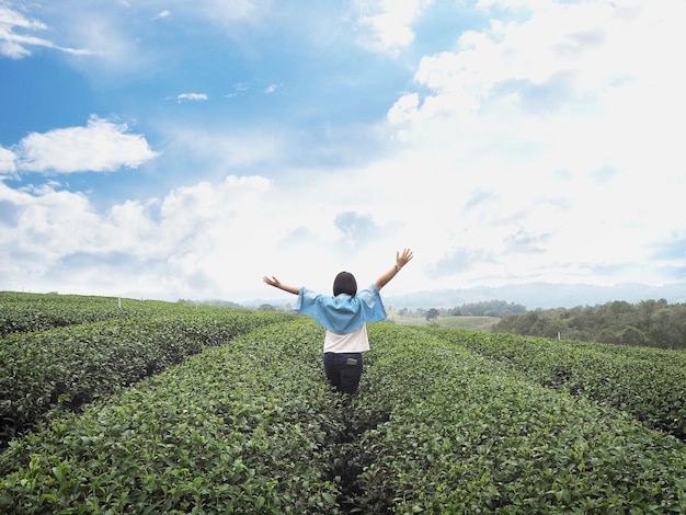 Rückansicht der Touristenfrau hebt ihre Arme auf der Teefarmplantage in den blauen Himmel