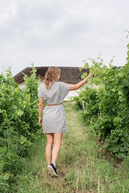 Rückansicht einer Frau im Sommerkleid, die durch den Weinberg geht