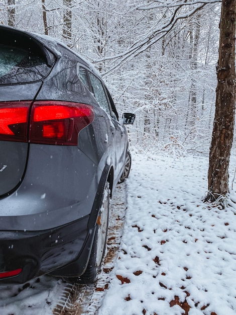 Rückansicht eines grauen Autos in einem verschneiten Wald