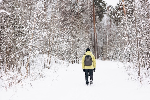 Rückansicht eines jungen Mannes mit Rucksack in gelber Jacke, der im Winter im verschneiten Kiefernwald spazieren geht. Menschen von hinten. Reisen vor Ort, Erkundung der Natur.