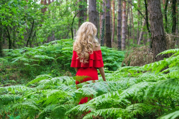 Rückansicht eines schönen blonden Mädchens in einem schicken roten Kleid, das einen Farn im Feenwald berührt. Atmosphäre fantastisch.