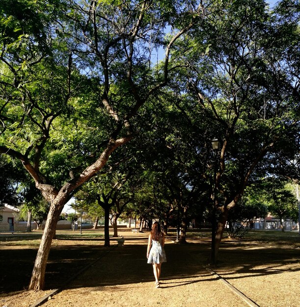 Foto rückwand einer frau, die an einem sonnigen tag im park spazieren geht