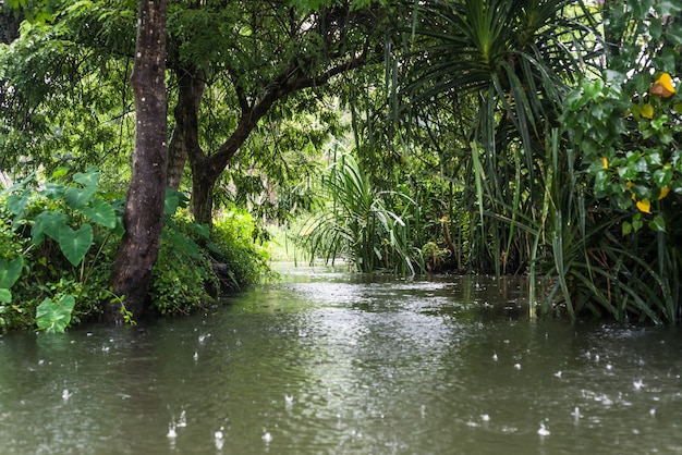 Rückwasser Kerala Indien Fluss