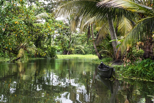 Rückwasser Kerala Indien Fluss