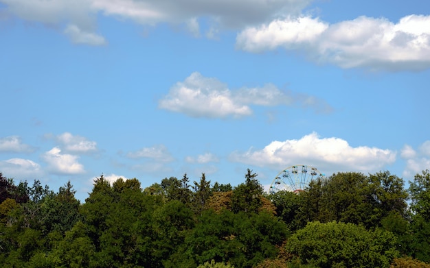 Rueda de la fortuna en el parque con cielo nublado