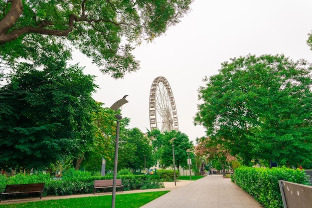 Foto rueda gigante con coloridas cabinas de asiento contra el fondo del cielo y las flores verdes en el parque de la ciudad