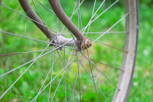 rueda de una vieja bicicleta cerca de la hierba verde, cubo sucio y oxidado y radios de bicicleta vintage